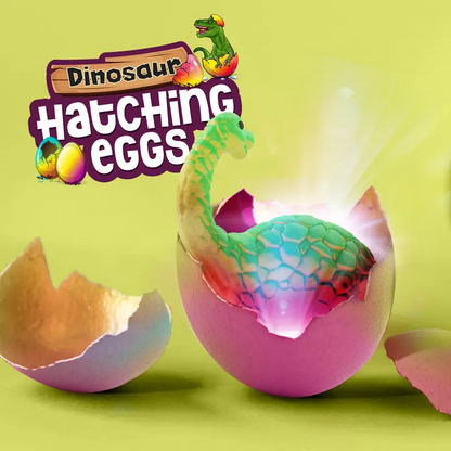 🦖 Water Hatching Dinosaur Eggs – 6 Pack Surprise Grow Eggs